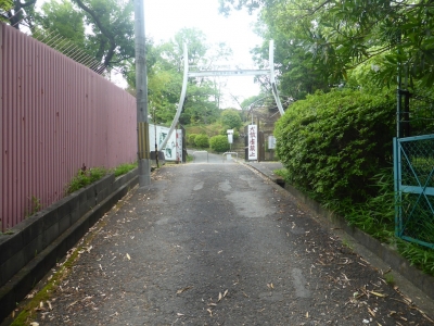 柏原市 玉手山公園
