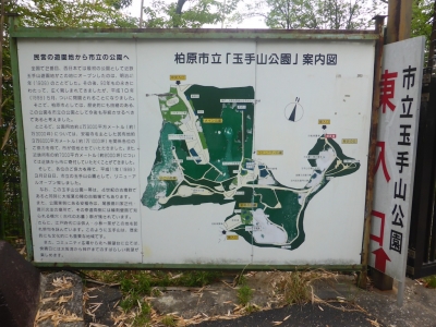柏原市 玉手山公園