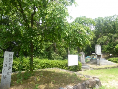 柏原市 玉手山公園