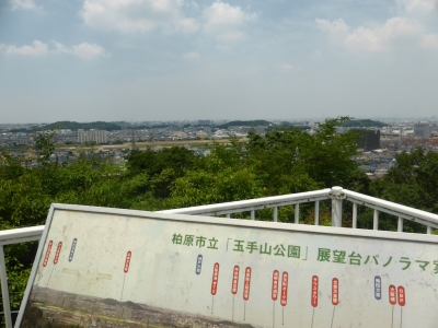 柏原市 玉手山公園