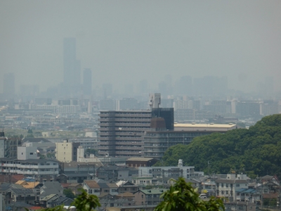柏原市 玉手山公園