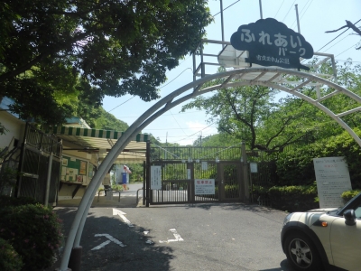 柏原市 玉手山公園