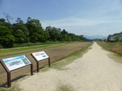 羽曳野市 応神天皇陵