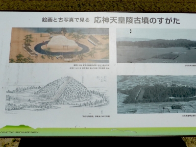 羽曳野市 応神天皇陵