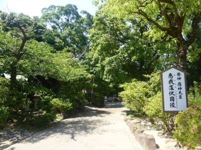 羽曳野市 誉田八幡宮