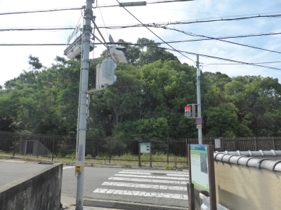 羽曳野市 安閑天皇陵