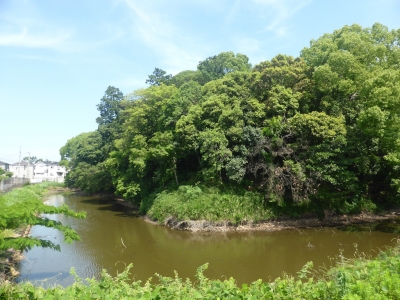 羽曳野市 安閑天皇陵