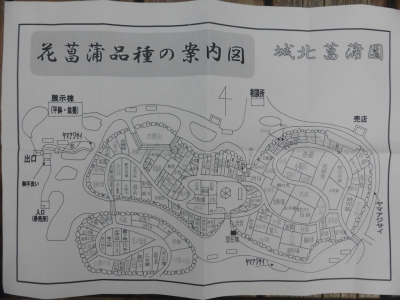 大阪市 城北菖蒲園