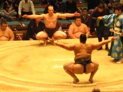 相撲 大阪府立体育会館