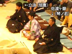相撲 大阪府立体育会館
