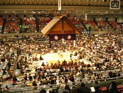 相撲 大阪府立体育会館
