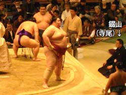 相撲 大阪府立体育会館