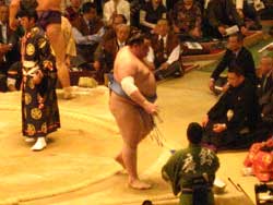 相撲 大阪府立体育会館