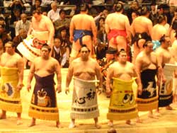 相撲 大阪府立体育会館