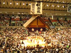 相撲 大阪府立体育会館