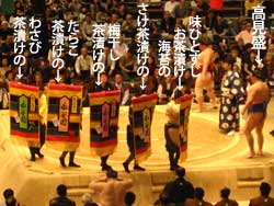 相撲 大阪府立体育会館
