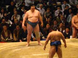 相撲 大阪府立体育会館