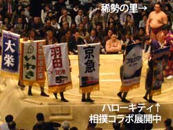 相撲 大阪府立体育会館