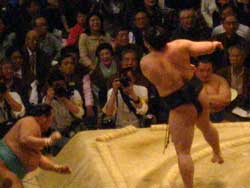 相撲 大阪府立体育会館