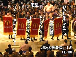相撲 大阪府立体育会館