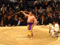 相撲 大阪府立体育会館