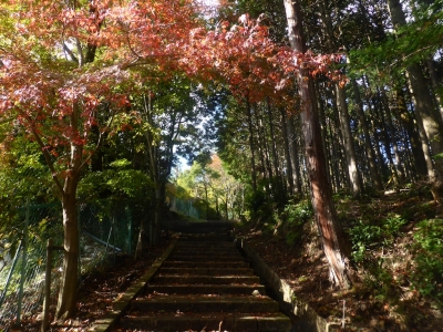 大津市 坂本 延暦寺参道
