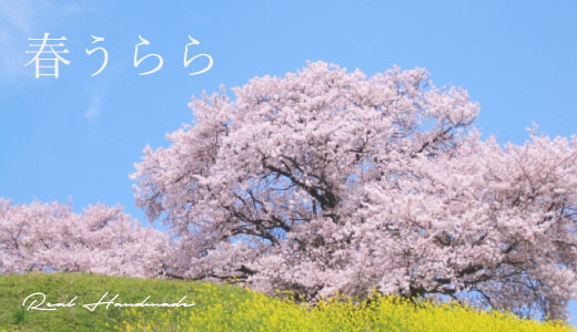 BL200326-02.jpg