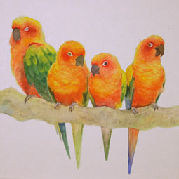 いろとり鳥展