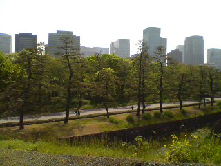 20090419094813.jpg