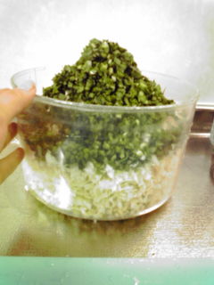 20090614111545.jpg