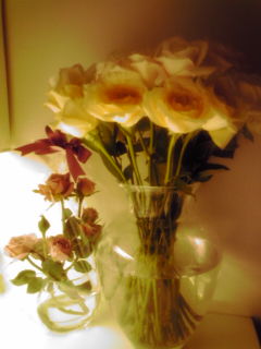 20090615010923.jpg