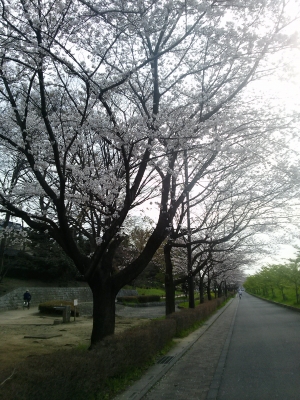 IMG02155.jpg