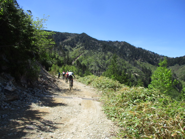 IMG_1221.JPG