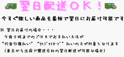 即日発送&翌日配送OK!
