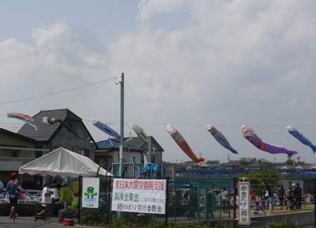 鯉のぼり