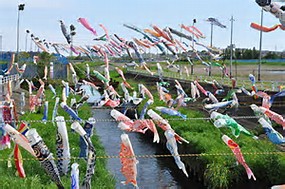 l鯉