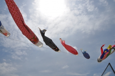 DSC_6660:画像1.JPG
