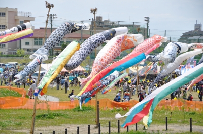 DSC_6636:画像3.JPG