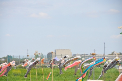 DSC_6749:画像4.JPG