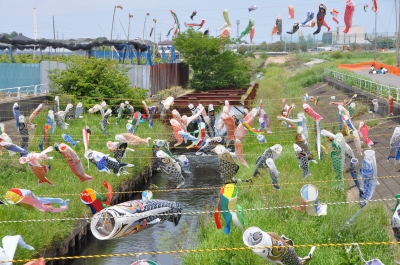 DSC_6843:画像5.JPG