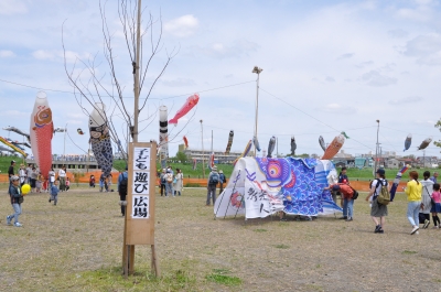 DSC_6655:画像7.JPG