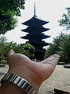 F1010005.jpg