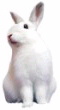 notitle100.jpg