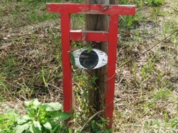 ImagePreviewA-13.jpg