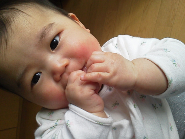 2013020811220002.jpg