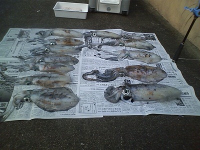 ika1