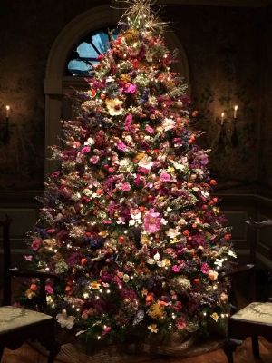 14-12-26-204.jpg
