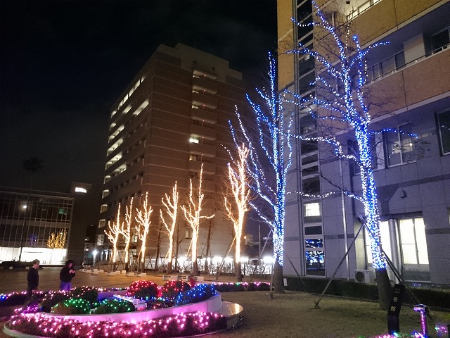 ​徳島文理大学