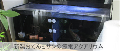 新潟おてんとサン家の節電アクアリウムで節約熱帯魚飼育