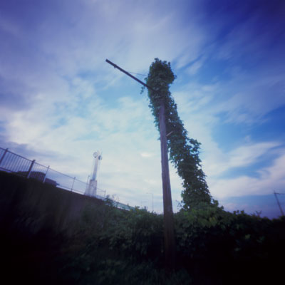 背伸び